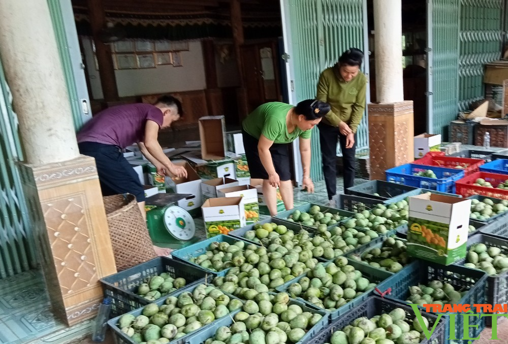 Đồng lòng, sáng tạo xây dựng xã nông thôn mới ở Sặp Vạt - Ảnh 4.