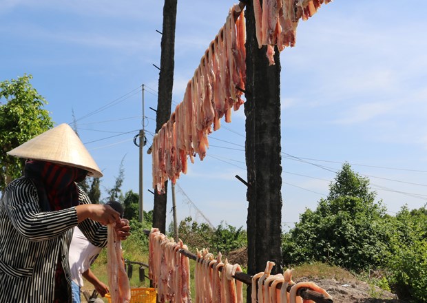 “Thu phu” nghe lam hai san kho Ganh Hao vao mua Tet hinh anh 4