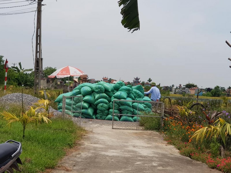 Giá lúa gạo hôm nay ngày 9/1: Giá gạo chợ kéo dài đà tăng