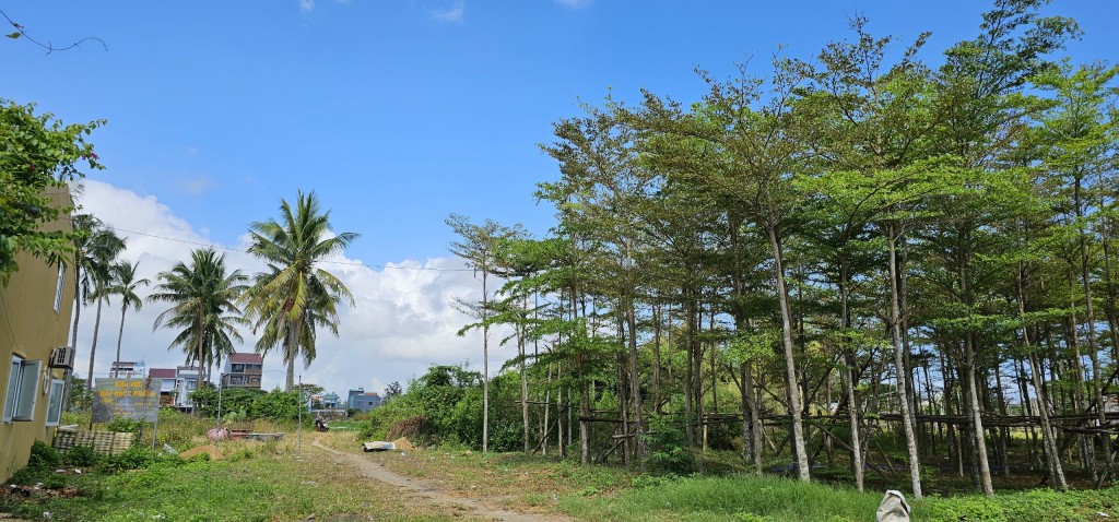 Bàn giao khu đất quốc phòng tại Hội An cho địa phương quản lý