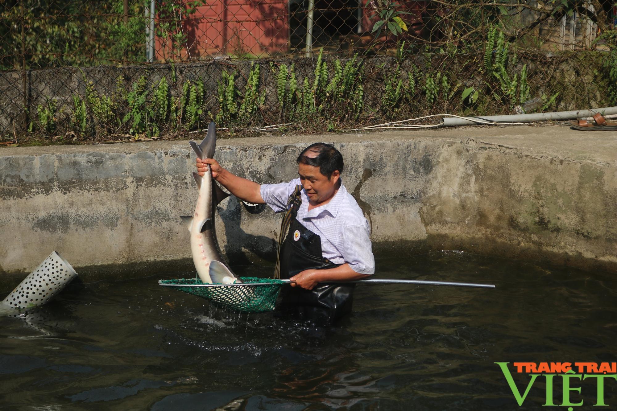 Ngũ Chỉ Sơn (Sa Pa) nỗ lực xây dựng nông thôn mới- Ảnh 5.