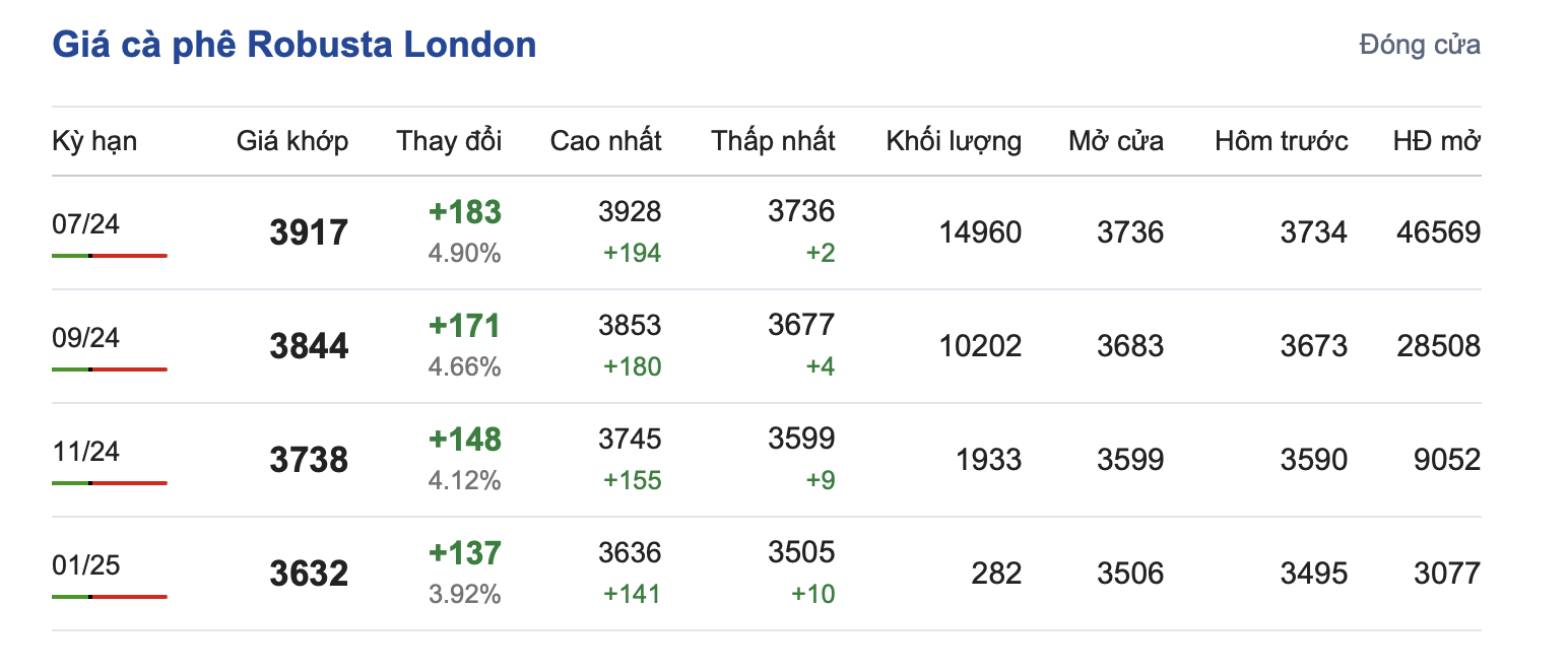 Giá cà phê 23/5, Giá cà phê Robusta London ngày 23/5/2024