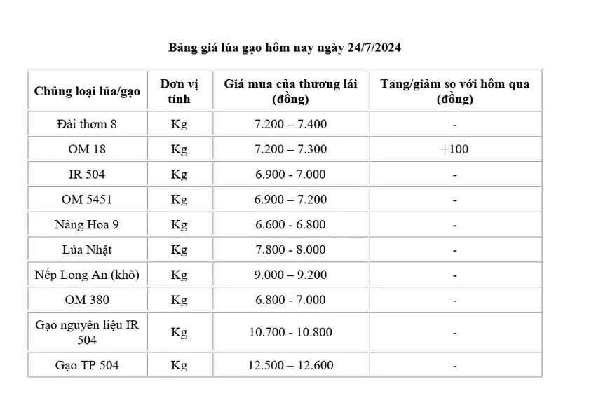 Giá lúa gạo hôm nay ngày 24/7: Giá lúa tăng 100 đồng/kg; giá gạo xuất khẩu ở mức thấp