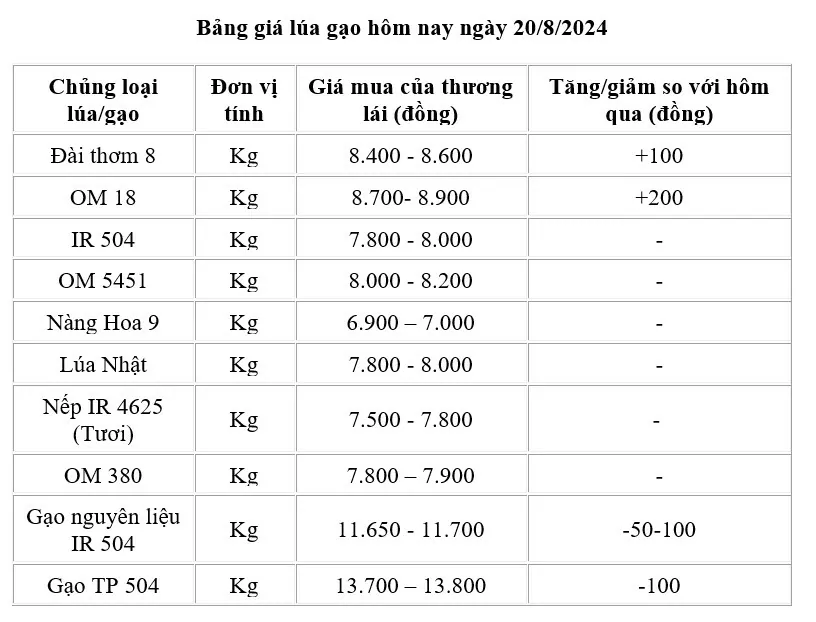 Giá lúa gạo hôm nay 20/8/2024: Giá gạo giảm 50 -100 đồng/kg, giá lúa tăng 200 - 400 đồng/kg