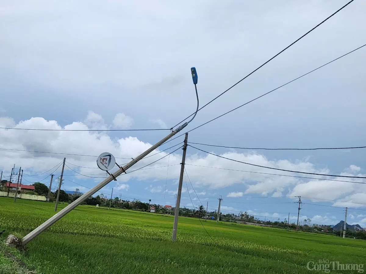 Công ty Điện lực Quảng Ninh cấp điện kịp thời cho các khu vực quan trọng