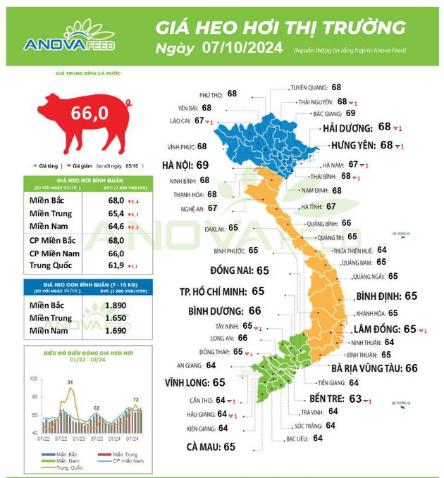 Giá lợn hơi lại biến động, dự báo 'nóng' về sản lượng thịt lợn  - Ảnh 1.