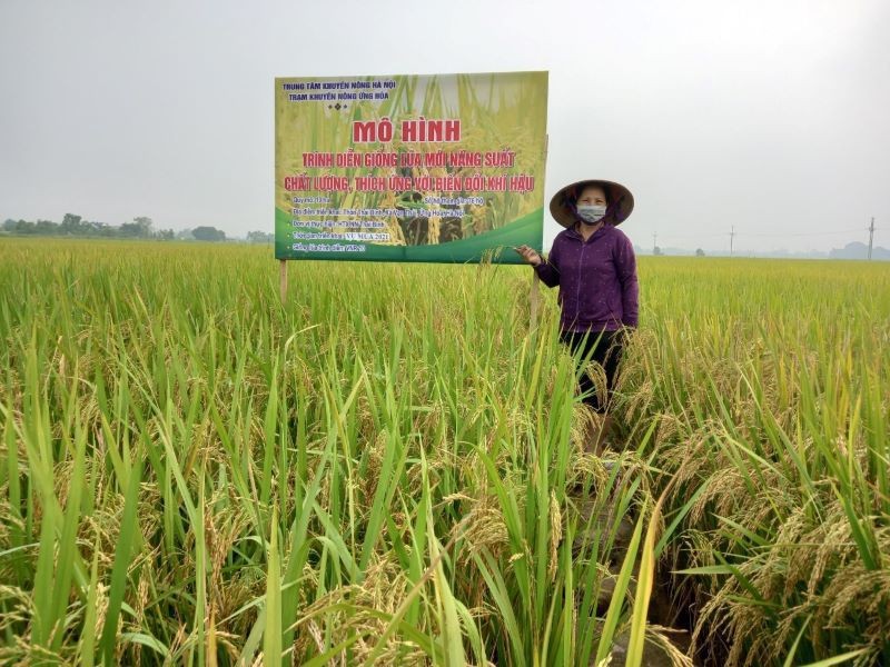 Bài cuối: Nông nghiệp thông minh, thích ứng với biến đổi khí hậu