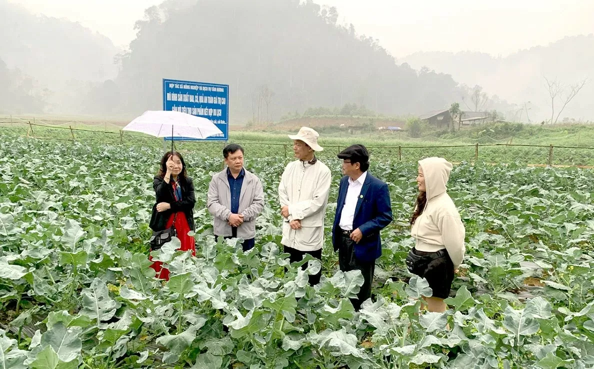 Tuyên Quang kỳ vọng bứt phá trong năm mới