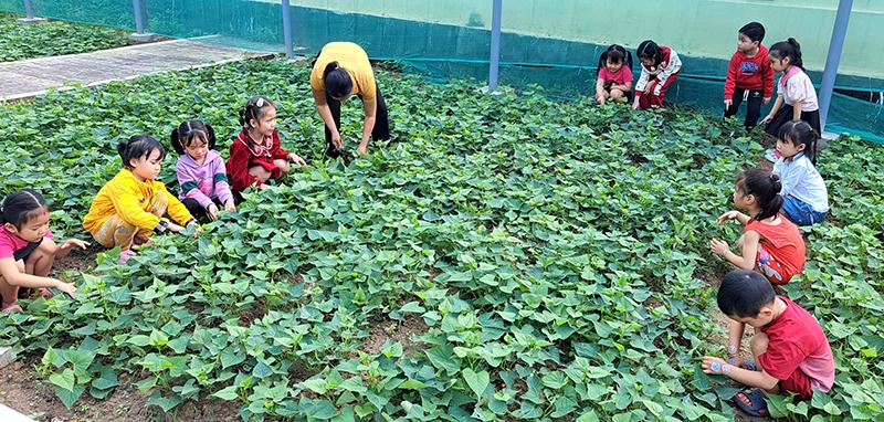Mô hình “Vường rau của bé” ở Trường mầm non Thuận Đức góp phần cải thiện đời sống, động viên tình thần để cô và trò tự tin, nuôi dạy các cháu tốt hơn.