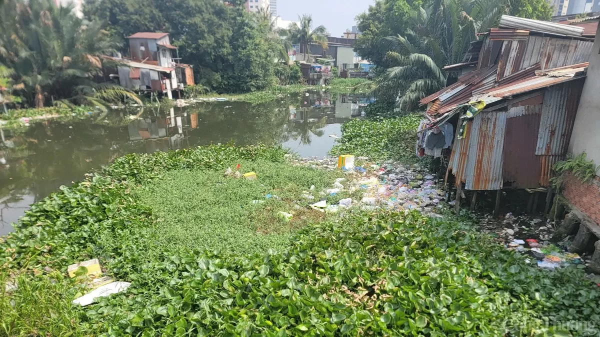 TP. Hồ Chí Minh: Cận cảnh rạch Xuyên Tâm trước ngày ‘hồi sinh’