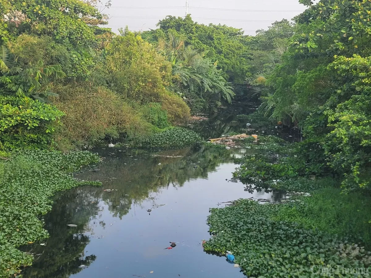 TP. Hồ Chí Minh: Cận cảnh rạch Xuyên Tâm trước ngày ‘hồi sinh’