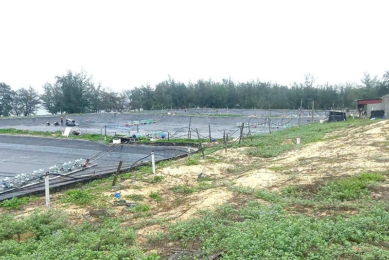 Hiện, huyện Quảng Trạch vẫn chưa công khai phương án bồi thường, hỗ trợ đối với các trang trại nuôi trồng thủy sản.