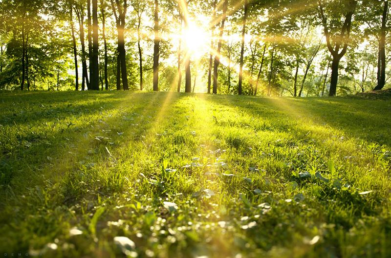 Ảnh minh hóa. Nguồn: internet