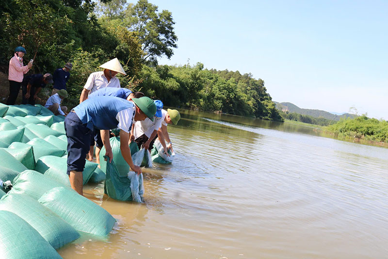 Tổ chức thả cá giống trên sông Kiến Giang.