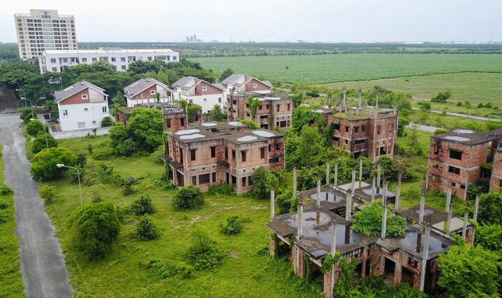 GS Đặng Hùng Võ nhận định, Nếu không giảm được giá nhà đất, hệ lụy của nó là rất lớn. Ảnh: Quỳnh Trần.