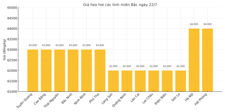Biểu đồ giá heo hơi miền Bắc ngày 22/7