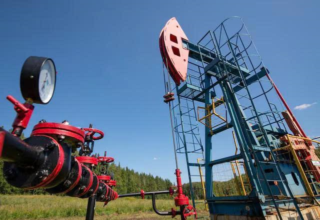 Giá xăng dầu trong nước hôm nay ngày 24/7/2025. Ảnh: Reuters