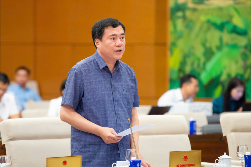 Thứ trưởng Bộ Công Thương Nguyễn Sinh Nhật Tân phát biểu