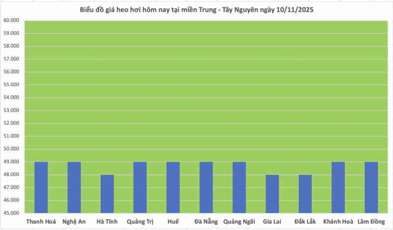 Giá heo hơi hôm nay 10/11/2025: Phiên đầu tuần lặng sóng - 2