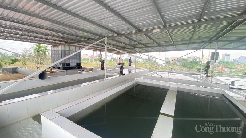 Doanh nghiệp tại Hải Phòng sử dụng an toàn hóa chất trong sản xuất