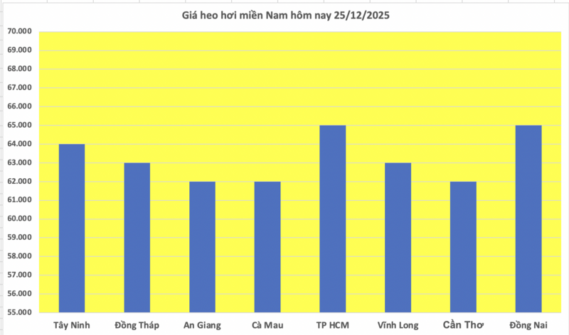 Giá heo hơi hôm nay 25/12/2025: Tiếp đà tăng miền Nam và miền Trung - 3