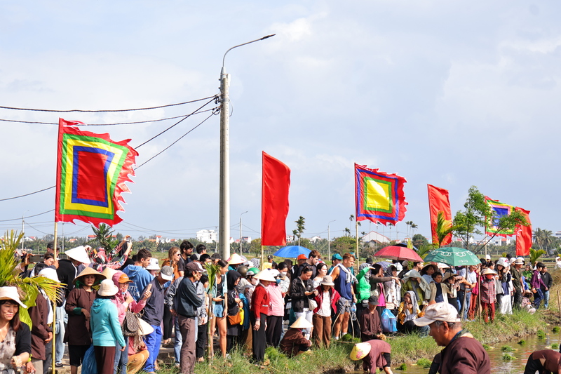 Địa phương định hướng tiếp tục duy trì lễ hội thường niên, đồng thời chuẩn hóa các hoạt động trải nghiệm, kết nối với tour du lịch sinh thái – nông nghiệp, hướng đến khai thác bền vững không gian đồng ruộng. Ảnh: Diễm Phúc