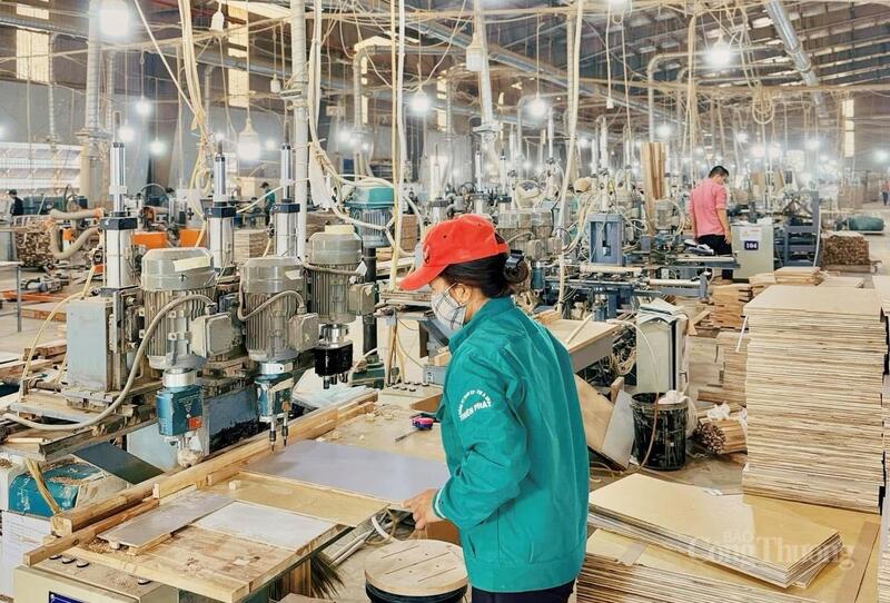 Mục tiêu năm 2026 đạt kim ngạch xuất khẩu 1,22 tỷ USD, tăng 12% so với năm 2025.