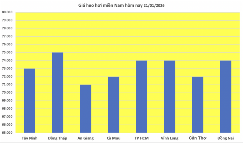 Giá heo hơi hôm nay 21/1/2026: Tiếp đà tăng, lập 'đỉnh' mới - 3