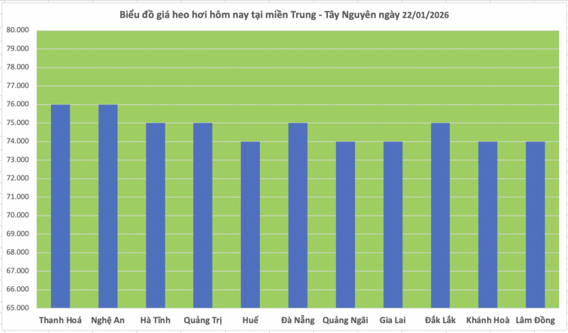 Giá heo hơi hôm nay 22/1/2026: Tiếp đà tăng, miền Bắc lập 'đỉnh' mới - 2