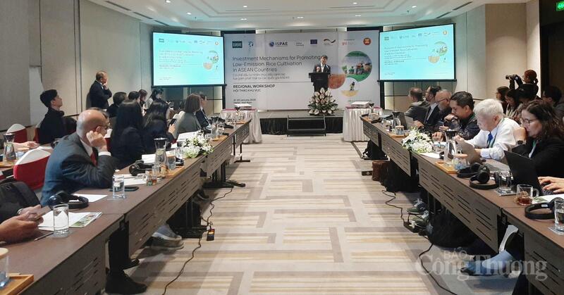 Hội thảo Trọng tâm tại Việt Nam: Cơ hội thúc đẩy lúa phát thải thấp tại Đồng bằng sông Cửu Long”. Ảnh: N.H