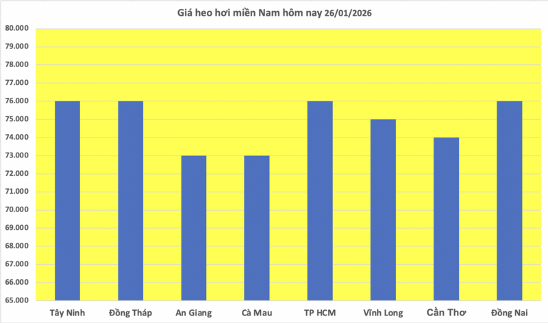 Giá heo hơi hôm nay 26/1/2026: Tăng rải rác - 3