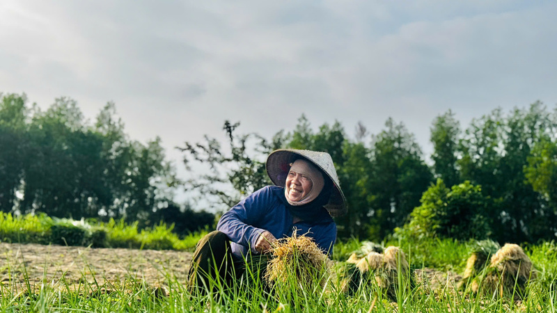 Nông dân rất phấn khởi vì kiệu được mùa, được giá. Ảnh: Nguyễn Dương