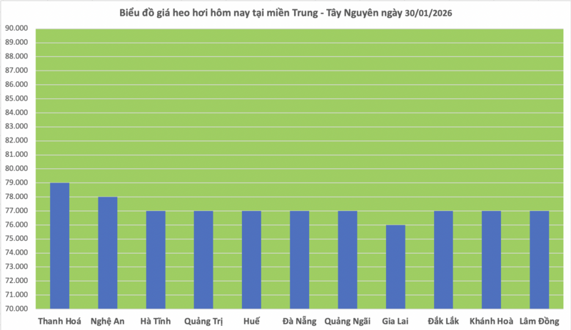 Giá heo hơi hôm nay 30/1/2026: Giảm 1.000 đồng/kg tại nhiều nơi - 2