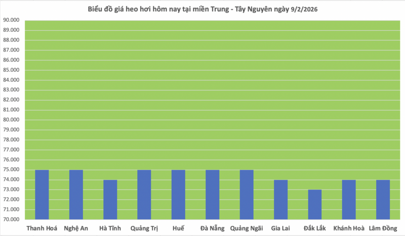 Giá heo hơi hôm nay 9/2/2026: Tiếp tục giảm nhiều nơi - 2