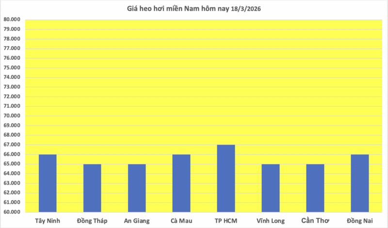 Giá heo hơi hôm nay 18/3/2026: Tăng diện rộng trên cả 3 miền - 3