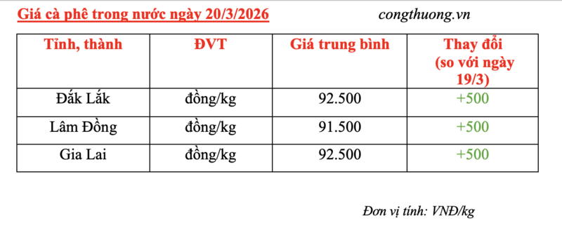 Giá cà phê hôm nay 20/3/2026: Tăng nhẹ 500 đồng/kg - 4
