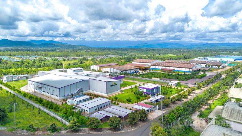 Gia Lai định hướng phát triển vùng nguyên liệu theo hướng bền vững, gắn chặt sản xuất với chế biến sâu và xuất khẩu. Ảnh: Hiền Mai