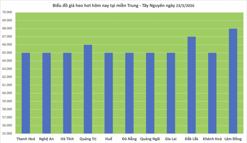 Giá heo hơi hôm nay 23/3/2026: Biến động trái chiều - 2