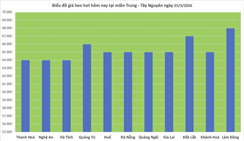 Giá heo hơi hôm nay 25/3/2026: Tiếp tục giảm sâu tại miền Bắc - 2
