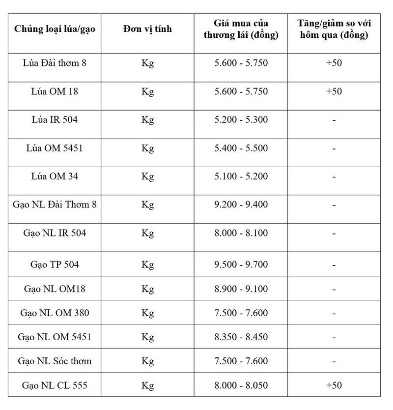 Bảng giá mang tính tham khảo.