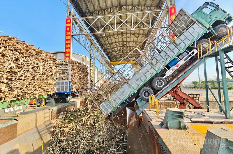 Chỉ số sản xuất công nghiệp (IIP) tháng 3/2026 ước tăng 10% so với cùng kỳ; tính chung quý I tăng 8,92%. Ảnh: Hiền Mai