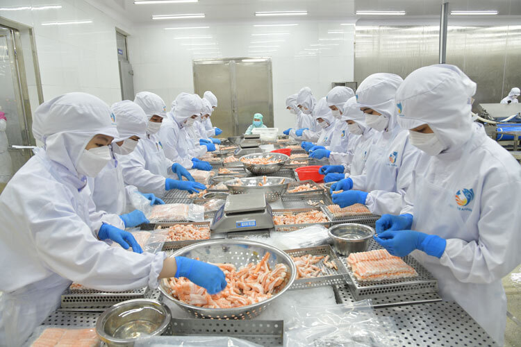 Lũy kế trong quý I/2026, xuất khẩu thủy sản của Việt Nam đạt 2,64 tỷ USD, tăng gần 8%. Ảnh: Tạp chí Thủy sản.