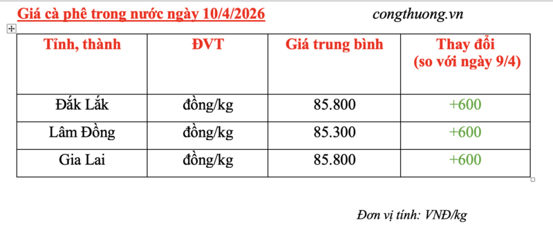 Giá cà phê hôm nay 10/4/2026: Tăng nhẹ 600 đồng/kg - 5