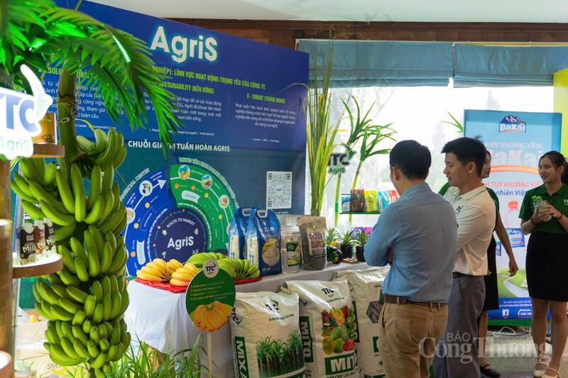 Chương trình ưu tiên các lĩnh vực có khả năng tạo giá trị gia tăng cao như công nghiệp chế biến - chế tạo, nông nghiệp công nghệ cao, khoa học - công nghệ, chuyển đổi số và kinh tế xanh.