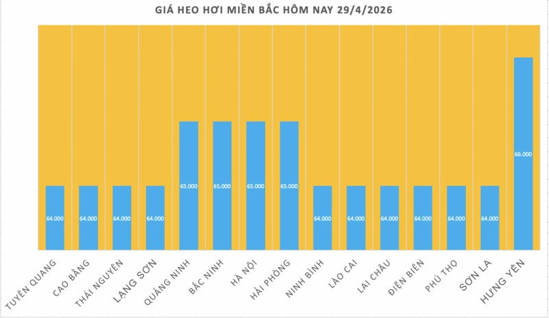 Giá heo hơi hôm nay 29/4/2026: Tiếp tục neo cao - 1