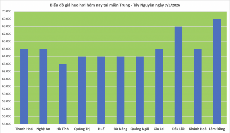 Giá heo hơi hôm nay 7/5/2026: Tăng nhẹ tại miền Bắc - 2