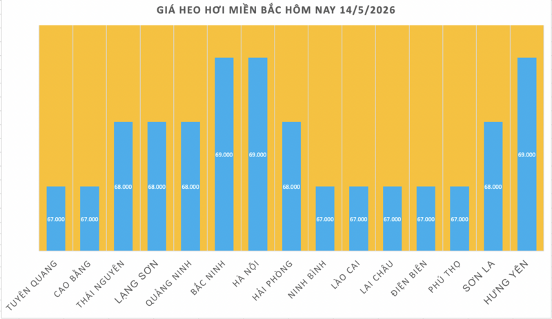 Giá heo hơi hôm nay 14/5/2026: Cao nhất 71.000 đồng/kg - 1