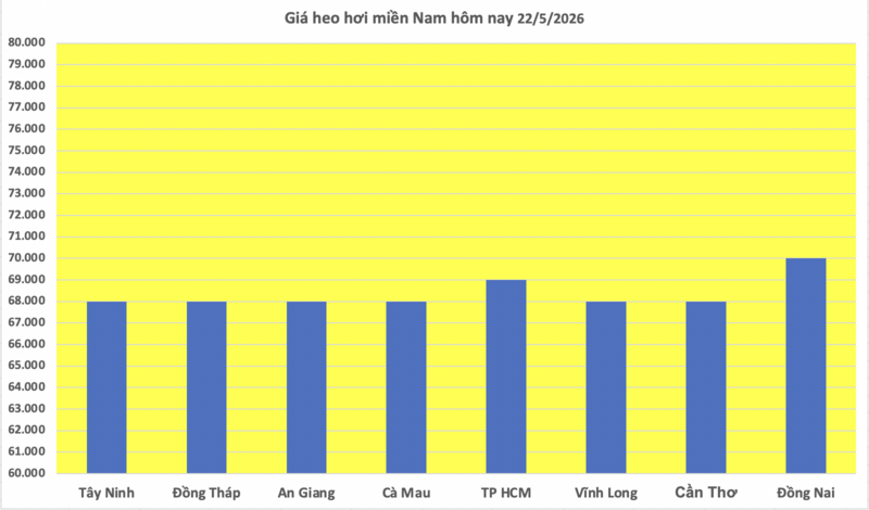 Giá heo hơi hôm nay 22/5/2026: Tăng duy nhất tại 1 địa phương - 3