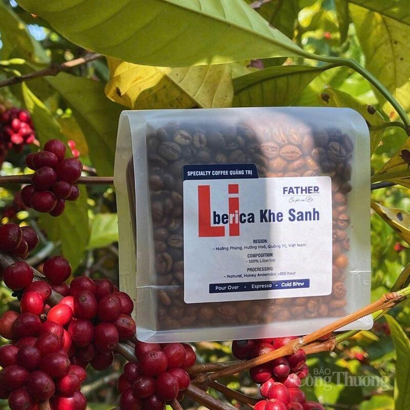 Cà phê Mít (Liberica) của vùng cao Khe Sanh, Hướng Hóa đang khẳng định vị thế trên bản đồ cà phê đặc sản thế giới.