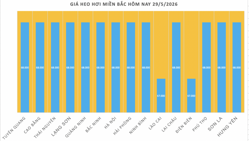 Giá heo hơi hôm nay 29/5/2026: Giảm nhẹ tại miền Bắc - 1